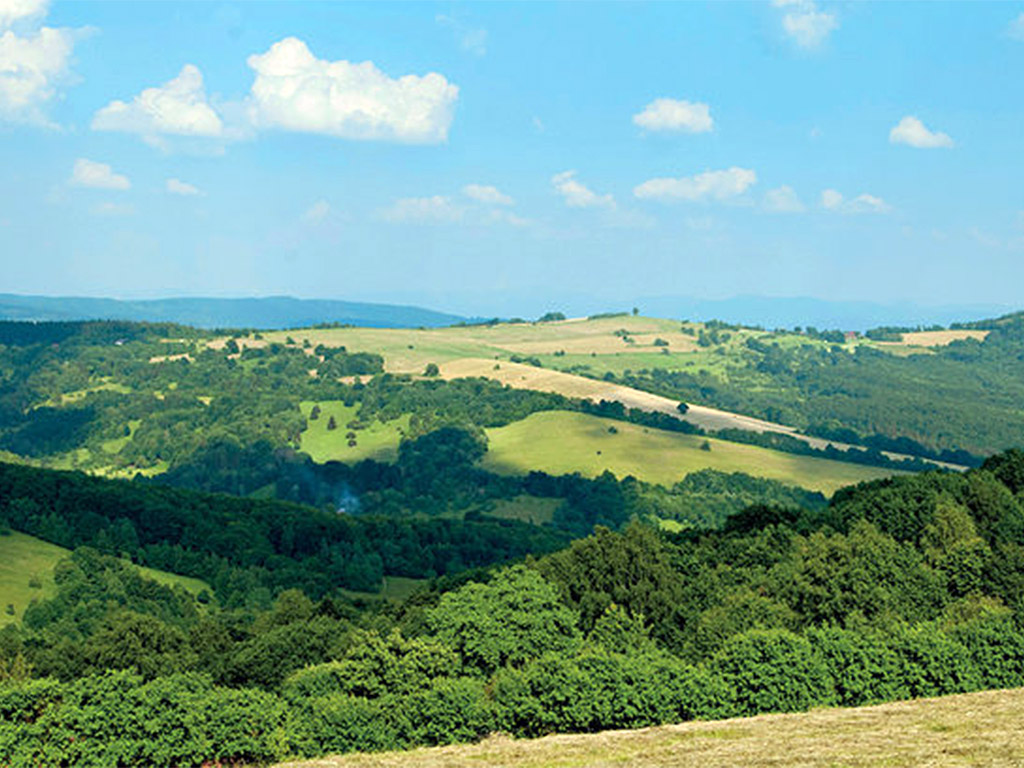 Bílé Karpaty https://nivnicka-riviera.cz/wp-content/uploads/2025/09/bile-karpaty.jpg